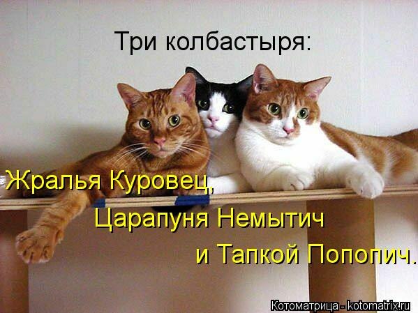     
: iyw6RsDj17g.jpg
: 8
:	52.1 
ID:	5930772