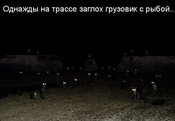     
: o-_4tivjDw8.jpg
: 8
:	39.0 
ID:	5930793
