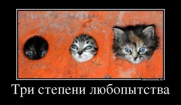     
: iIUSWuuBOKs.jpg
: 8
:	40.3 
ID:	5930901