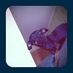     
: TDRwkyMft44.jpg
: 36
:	59.6 
ID:	5931024
