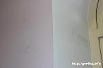     
: triwter_20.JPG
: 12
:	10.1 
ID:	5932184