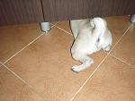    
: P3151670.jpg
: 7
:	126.6 
ID:	5932226