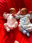     
: IMG_0335.jpg
: 58
:	73.8 
ID:	5934403