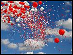     
: 1270491496_16017197_15927698_12805574_10211075_9299443.jpg
: 3
:	134.5 
ID:	5934825