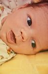     
: DSC_8797.jpg
: 28
:	44.4 
ID:	5938343