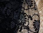     
: 100_1175.jpg
: 7
:	301.5 
ID:	5938836