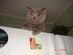     
: DSC02407.jpg
: 43
:	77.2 
ID:	594045