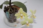     
: IMG_0398.JPG
: 7
:	195.6 
ID:	5942121