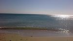     
: 2013-03-24-007.jpg
: 19
:	108.8 
ID:	5942993