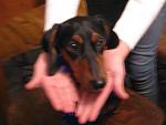     
: IMG_1536.jpg
: 30
:	97.4 
ID:	594333