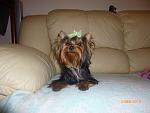     
: nika 3-1.jpg
: 44
:	105.4 
ID:	5943949