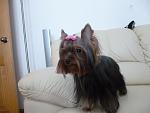     
: nika 1.1.jpg
: 38
:	84.4 
ID:	5943950