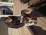     
: image.jpg
: 58
:	164.1 
ID:	5946771