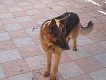     
: DSC00471.jpg
: 28
:	125.5 
ID:	5952238