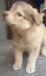     
: Hug5NsT1G8o.jpg
: 3
:	88.6 
ID:	5953910