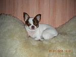     
: DSCN5252.jpg
: 7
:	111.7 
ID:	5954367