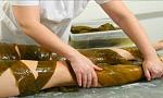     
: seaweed-body-wrap.jpg
: 8
:	10.6 
ID:	5955248
