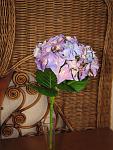     
: мои работы 021.jpg
: 12
:	120.5 
ID:	5957900