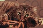     
: IMG_6790.jpg
: 13
:	119.9 
ID:	5960683