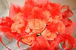     
: DSC_0010.jpg
: 9
:	142.3 
ID:	5961424