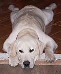     
: uG3IZAqLMdU.jpg
: 11
:	178.4 
ID:	5962964