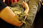     
: DSC_0447.JPG
: 4
:	131.5 
ID:	5966659