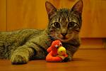     
: DSC_0466.JPG
: 5
:	128.3 
ID:	5966660