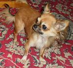     
: XNqcmB9uf_4.jpg
: 30
:	236.8 
ID:	5973228