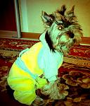     
: GFRANQ_ANNAOD_31909487_XPRO_FILM.jpg
: 11
:	122.4 
ID:	5979377