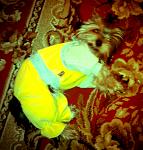     
: GFRANQ_ANNAOD_31909848_XPRO_FILM.jpg
: 13
:	108.0 
ID:	5979378