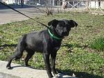     
: DSC02471.jpg
: 10
:	261.9 
ID:	5979958