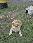     
: DSC02488.jpg
: 5
:	144.0 
ID:	5979973