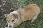     
: DSC02489.jpg
: 3
:	145.0 
ID:	5979974