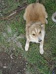     
: DSC02486.jpg
: 6
:	167.7 
ID:	5979976