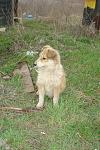     
: DSC02490.jpg
: 5
:	130.7 
ID:	5979977