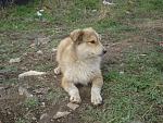     
: DSC02485.jpg
: 5
:	193.6 
ID:	5979978