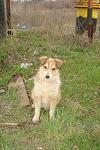    
: DSC02491.jpg
: 6
:	131.1 
ID:	5979980