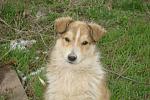     
: DSC02492.jpg
: 3
:	125.2 
ID:	5979990