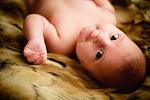     
: Img_022.jpg
: 188
:	133.6 
ID:	598109