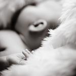     
: Img_044.jpg
: 192
:	127.4 
ID:	598124