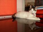     
: CIMG0113.jpg
: 4
:	105.8 
ID:	5983492