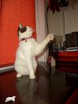     
: CIMG0121 (2).jpg
: 6
:	65.9 
ID:	5983495