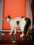     
: CIMG0102.jpg
: 2
:	59.2 
ID:	5985956