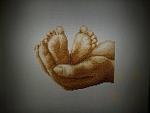     
: 31032013662.jpg
: 9
:	204.8 
ID:	5991565