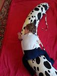     
: 20130331_151117.jpg
: 9
:	71.6 
ID:	5995509
