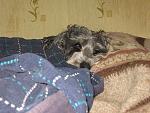     
: IMG_4244.jpg
: 15
:	150.7 
ID:	5997430