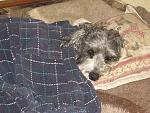     
: IMG_4245.jpg
: 10
:	180.7 
ID:	5997444