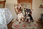     
: IMG_6158.jpg
: 50
:	137.1 
ID:	5997803