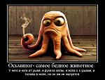     
: Осьминог.jpg
: 10
:	67.0 
ID:	6002266