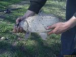     
: IMAGE_038.jpg
: 133
:	227.3 
ID:	6002990